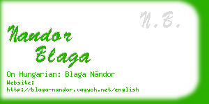 nandor blaga business card